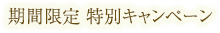 期間限定 特別キャンペーン
