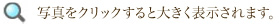 写真をクリックすると大きく表示されます。